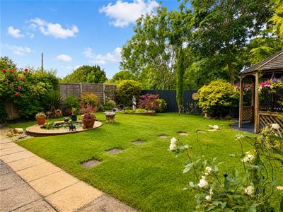 Picture 21